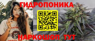 мдпв Шелехов