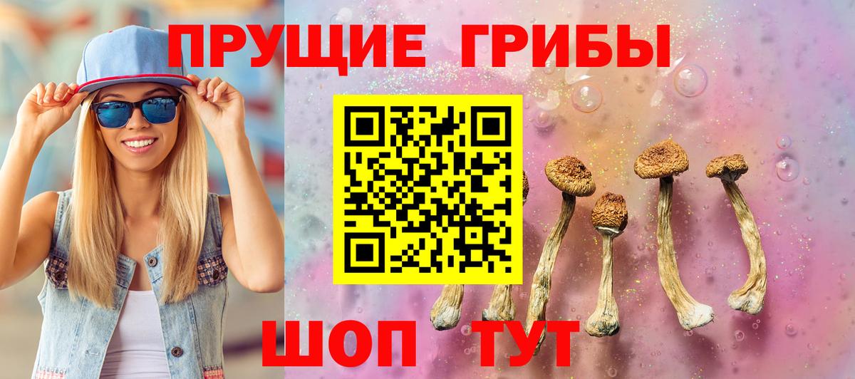 Псилоцибиновые грибы прущие грибы Глазов